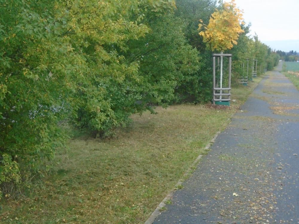 Sekání travního porostu