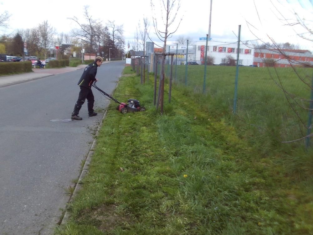 Údržba zeleně