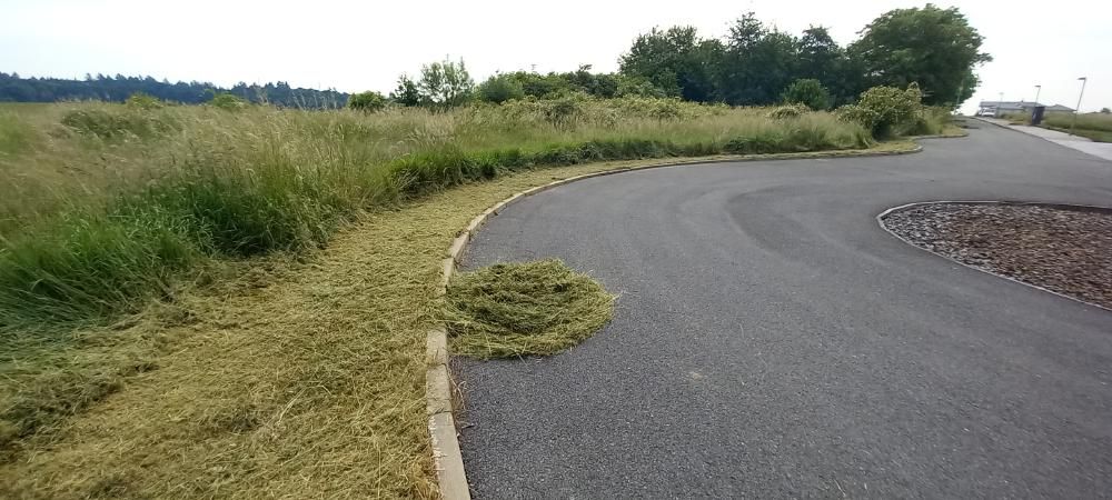 Údržba zeleně