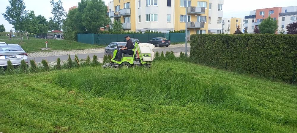 Sekání travního porostu