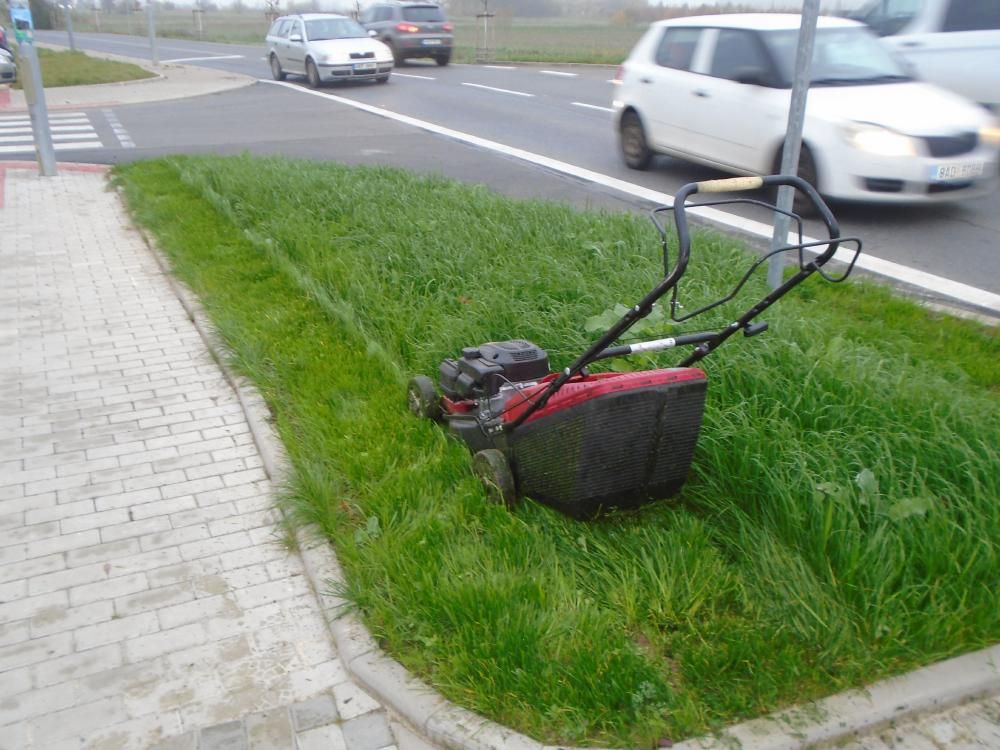 Sekání trávníků