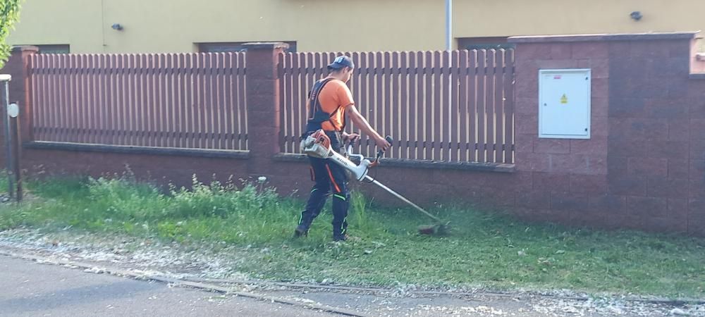 &Uacute;držba zeleně