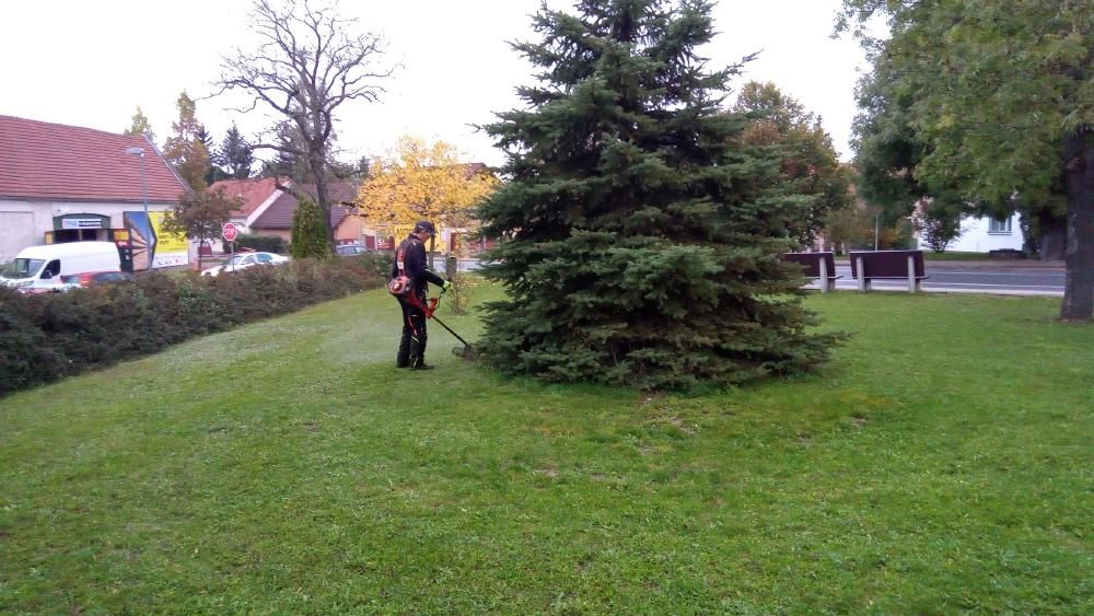 Sek&aacute;n&iacute; zeleně