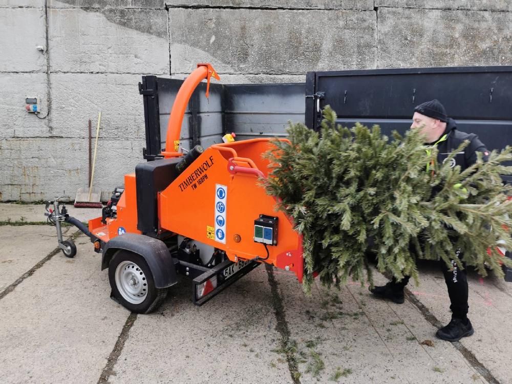 KAM S V&Aacute;NOČN&Iacute;M STROMKEM?