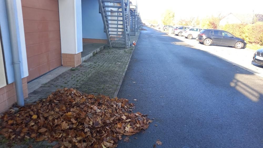 &Uacute;klid list&iacute;