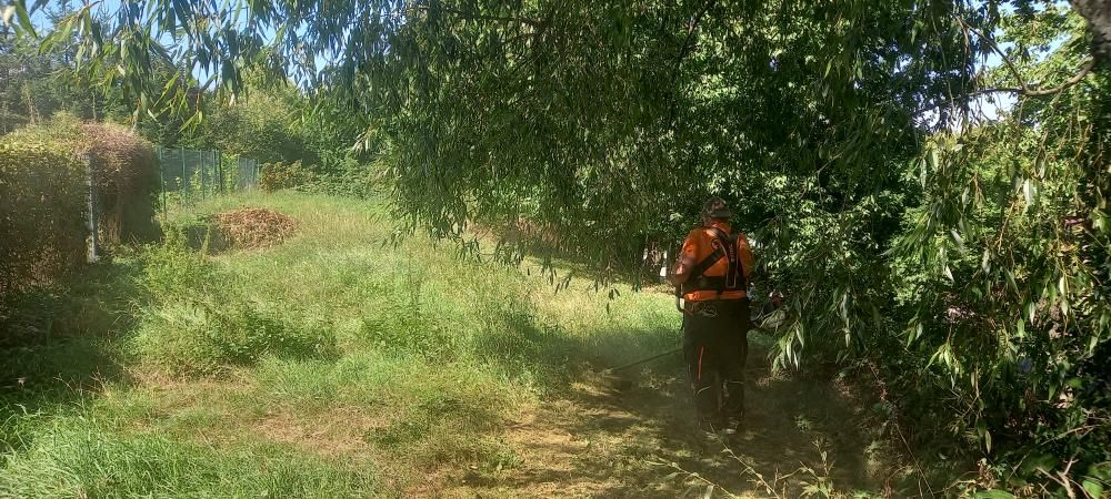 Sek&aacute;n&iacute; travn&iacute;ho porostu