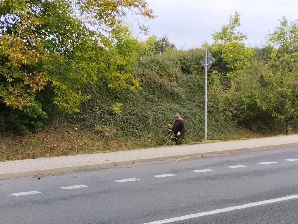 Sek&aacute;n&iacute; travn&iacute;ho porostu