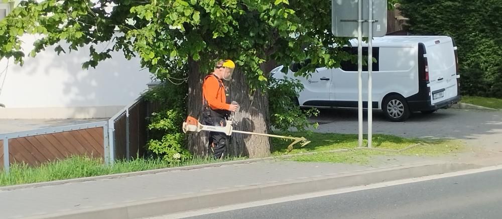 &Uacute;držba zeleně