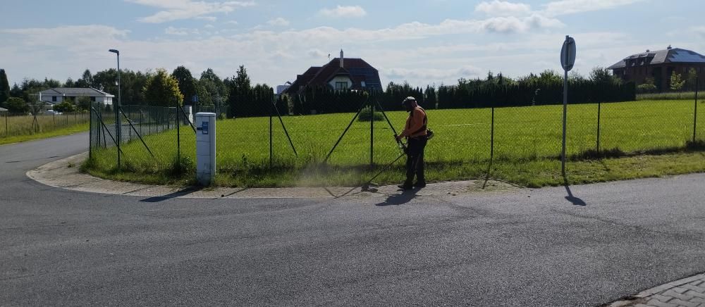 Sek&aacute;n&iacute; travn&iacute;ho porostu