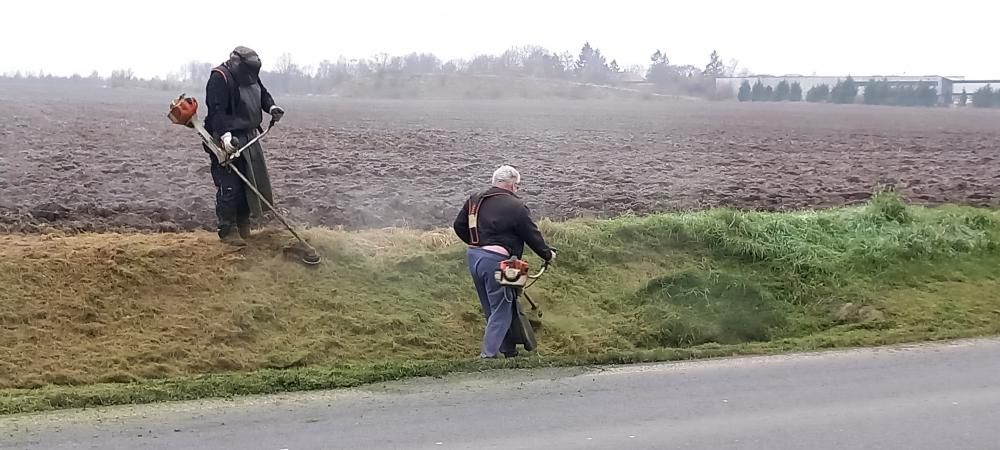 &Uacute;držba zeleně