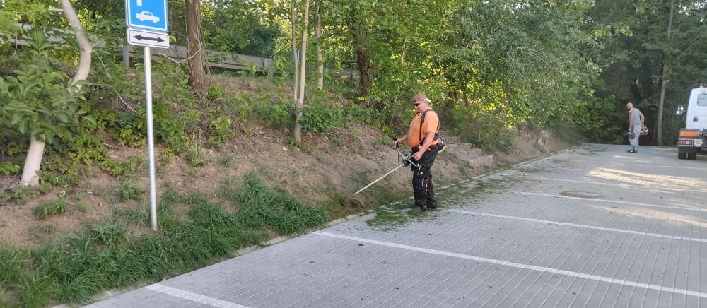 &Uacute;držba zeleně