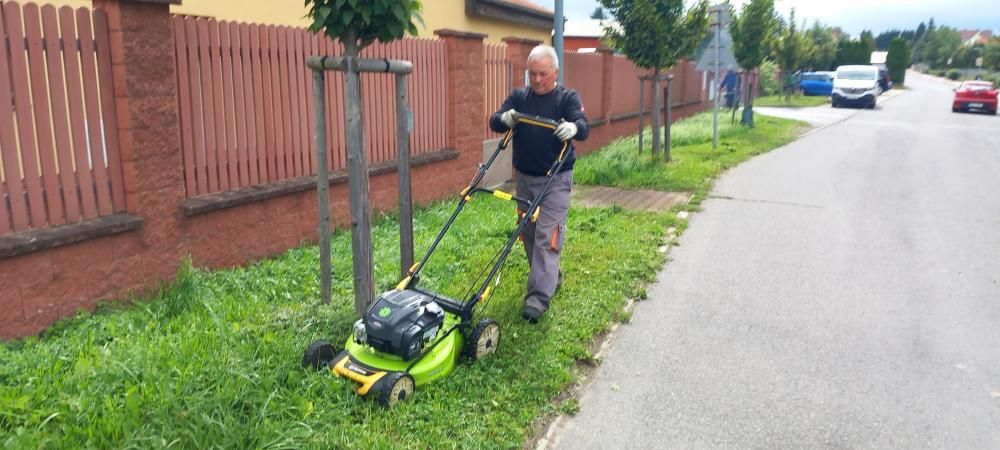 &Uacute;držba zeleně