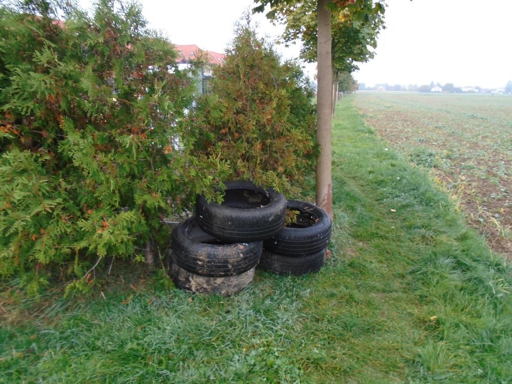&Uacute;klid kontejnerov&eacute;ho st&aacute;n&iacute;