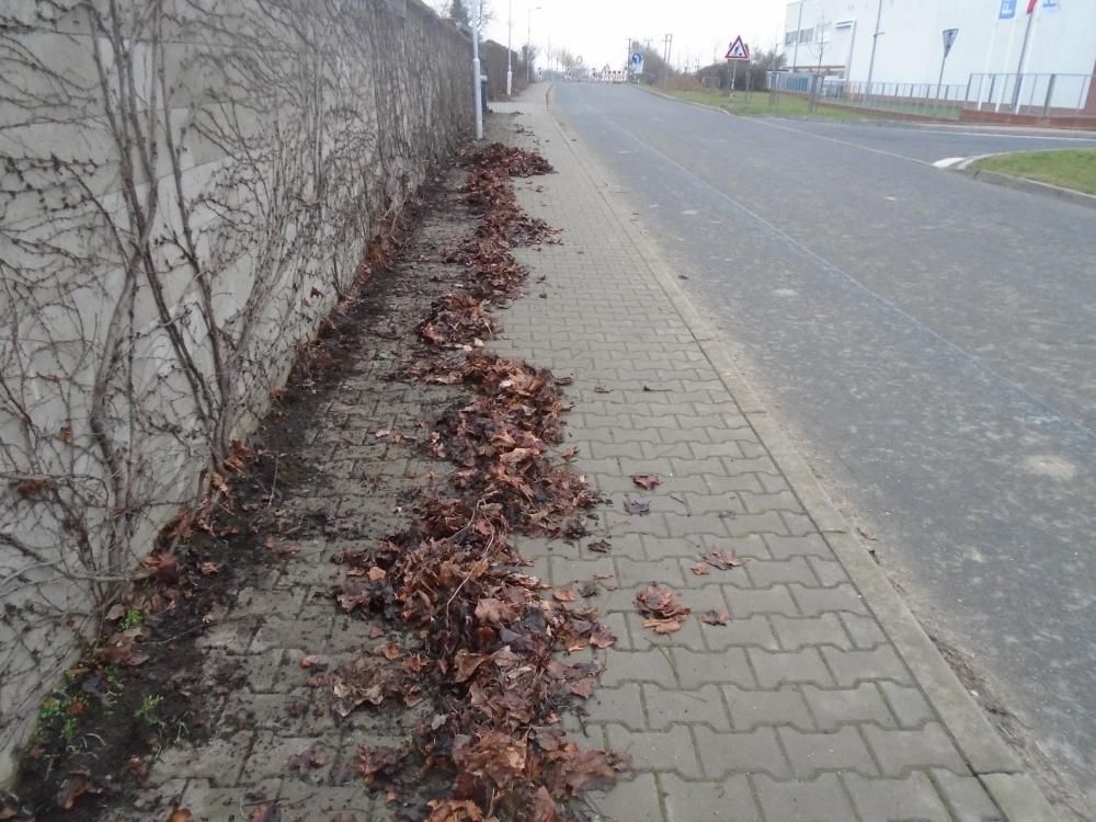 &Uacute;klid list&iacute;