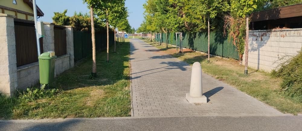 Sek&aacute;n&iacute; travn&iacute;ho porostu